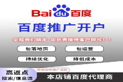 案例分析：高效信息流广告投放策略